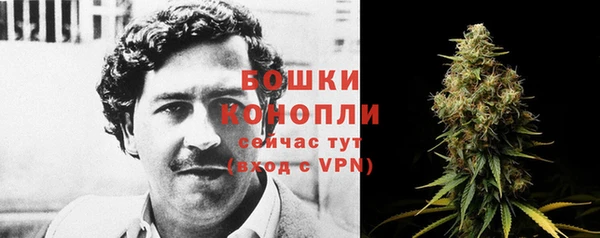 крисы Медвежьегорск