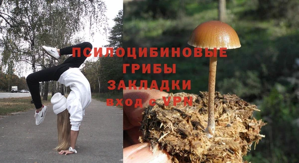 jwh Абаза
