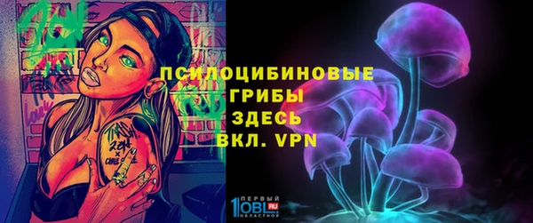 jwh Абаза