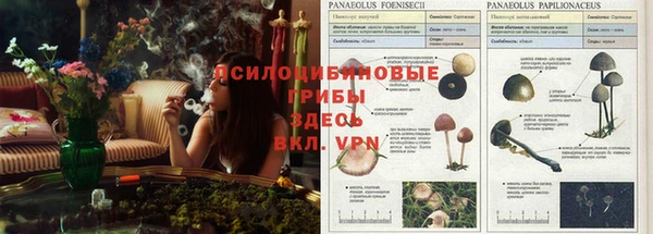 jwh Абаза