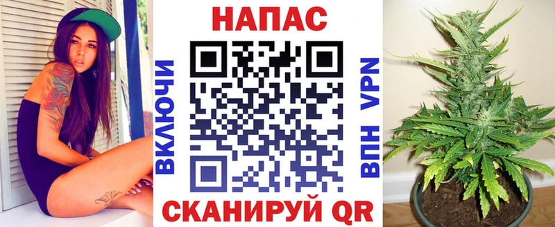 магазин продажи   Рассказово  darknet как зайти  Марихуана White Widow 